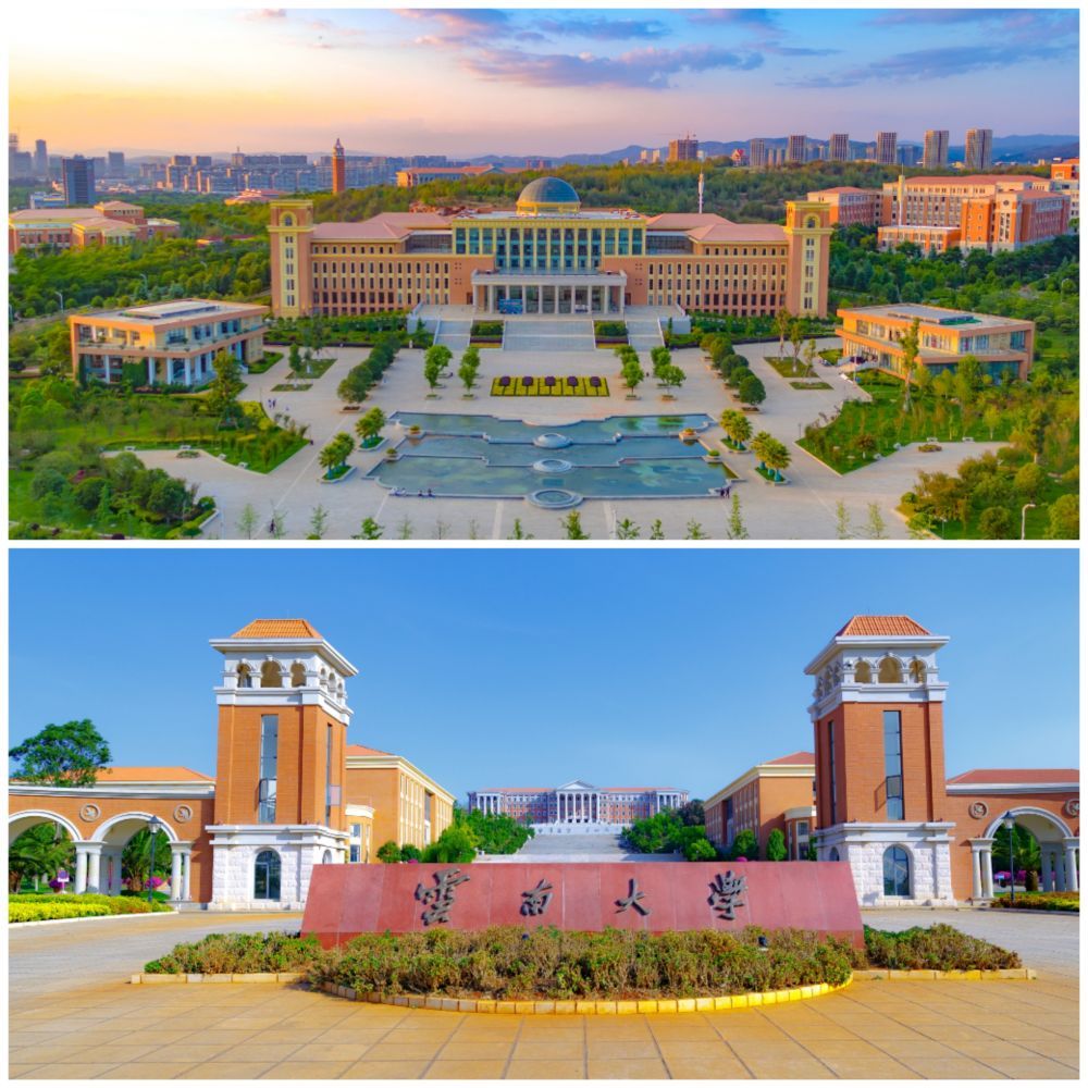 云南大学毕业证样本