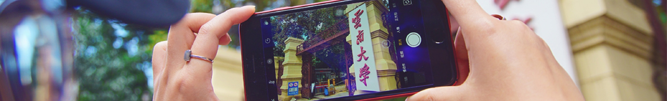 云南大学毕业证样本