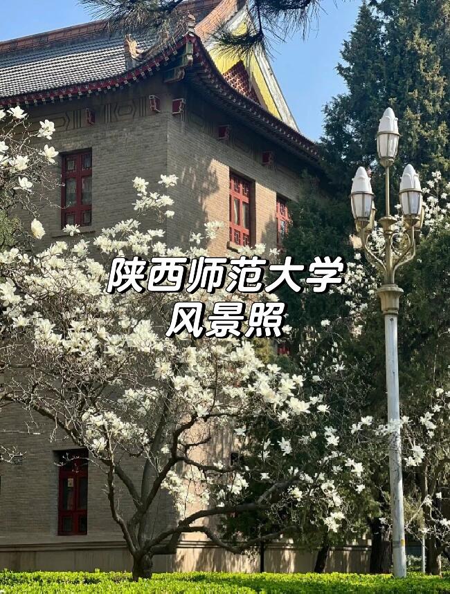 陕西师范大学教务处