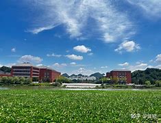 贵州大学学历证查询官网