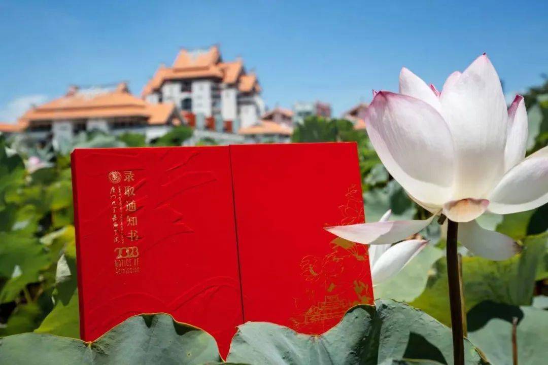 厦门大学毕业证查询系统