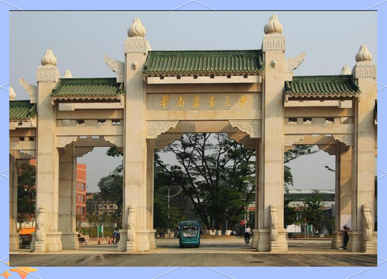 华中农业大学丁一