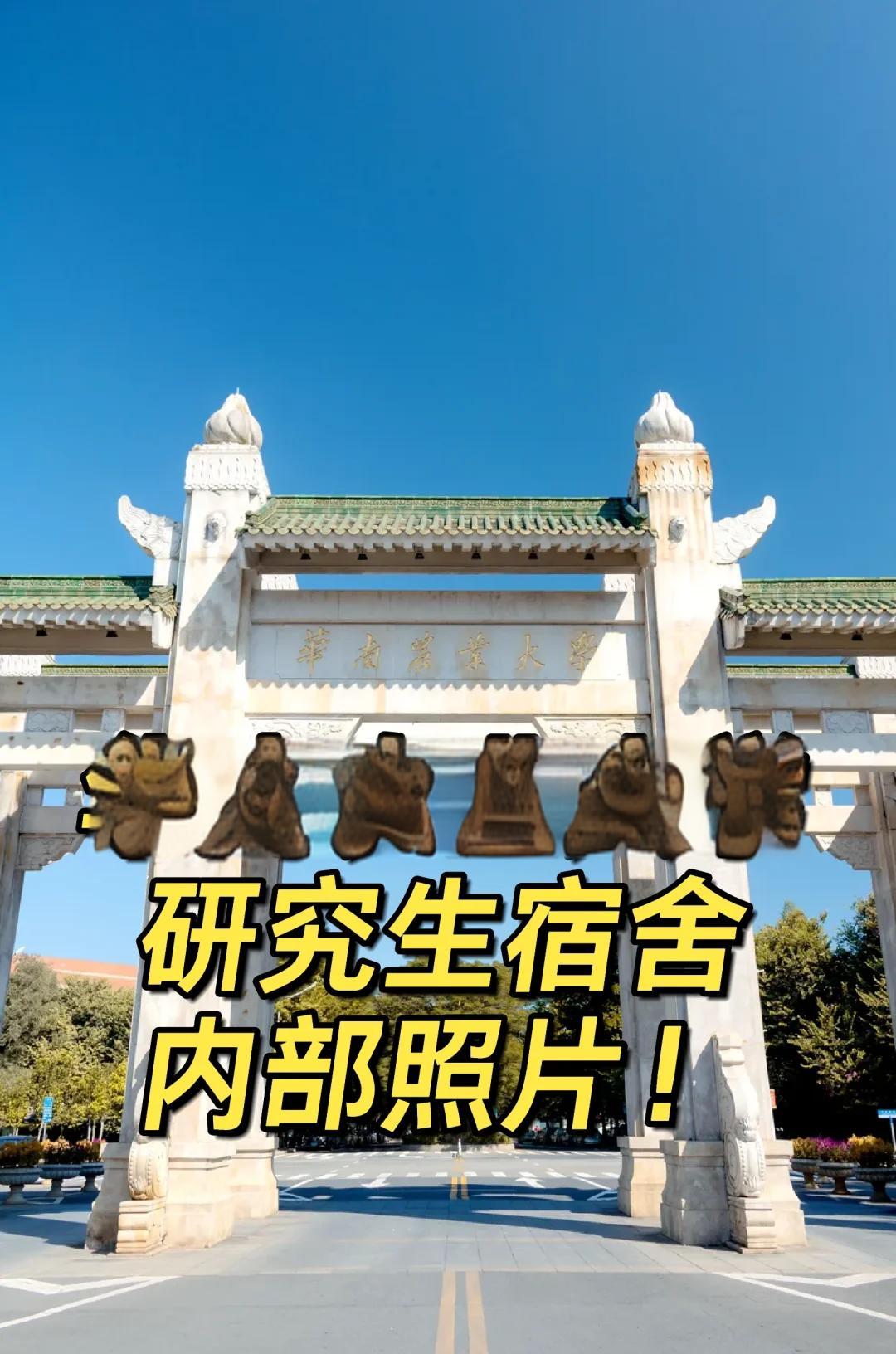 华南农业大学教务系统 华南农业大学教务系统