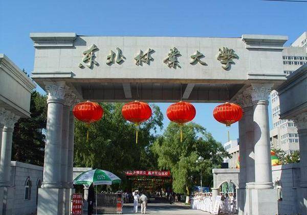 东北林业大学毕业条件