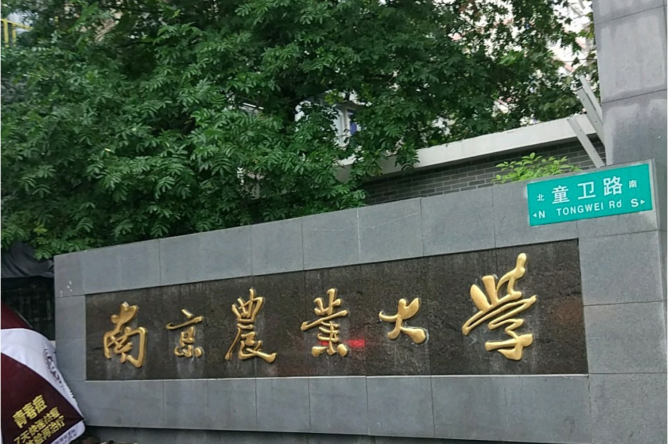 南京农业大学邮箱 南京农业大学邮箱