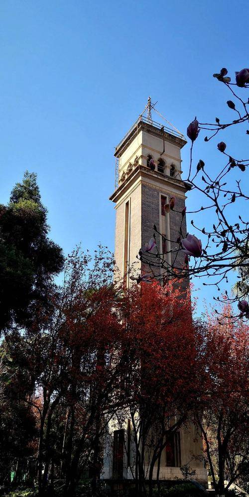 云南大学招生官网