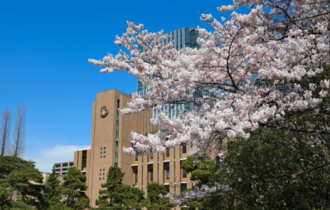 东北大学秦皇岛分校